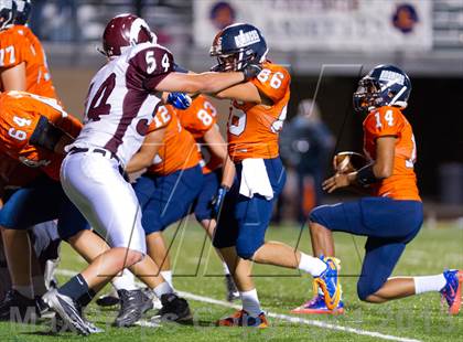 Thumbnail 1 in Marshall @ Brandeis photogallery.