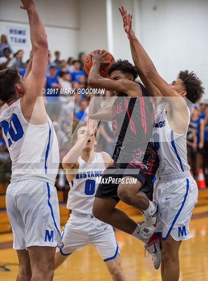 Thumbnail 2 in Oak Ridge @ Katy Taylor photogallery.
