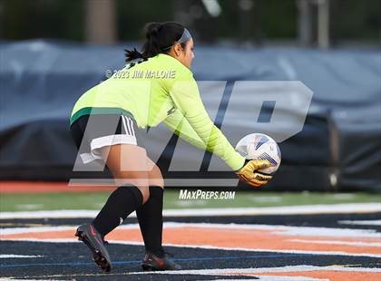 Thumbnail 3 in Menlo-Atherton @ Woodside photogallery.