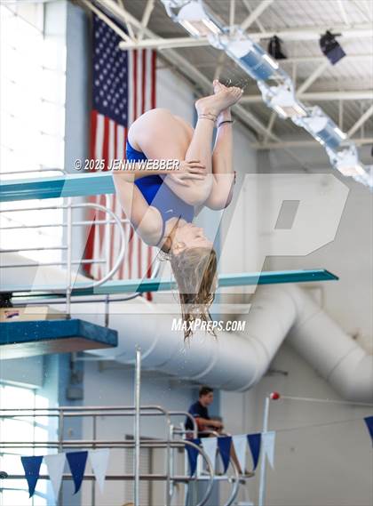 Thumbnail 1 in NIAA 4A Final (Diving) photogallery.
