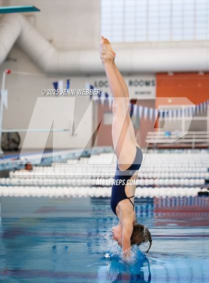 Thumbnail 2 in NIAA 4A Final (Diving) photogallery.