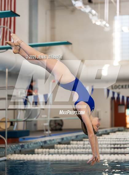 Thumbnail 2 in NIAA 4A Final (Diving) photogallery.