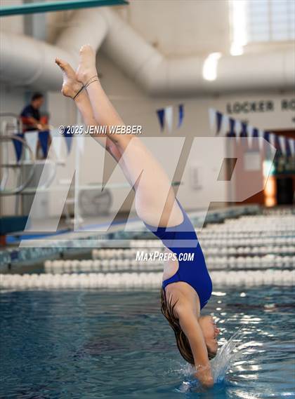 Thumbnail 1 in NIAA 4A Final (Diving) photogallery.