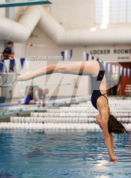 Thumbnail 3 in NIAA 4A Final (Diving) photogallery.