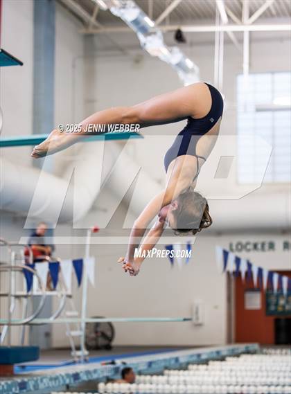 Thumbnail 2 in NIAA 4A Final (Diving) photogallery.