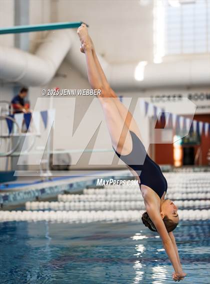 Thumbnail 1 in NIAA 4A Final (Diving) photogallery.