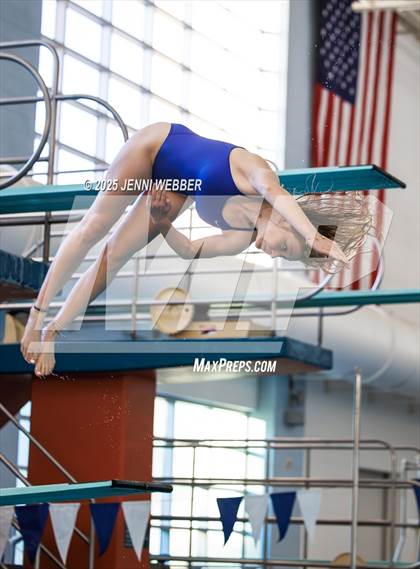 Thumbnail 1 in NIAA 4A Final (Diving) photogallery.