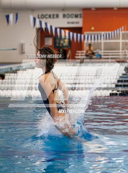 Thumbnail 3 in NIAA 4A Final (Diving) photogallery.