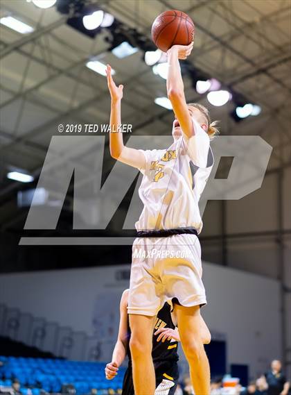 Thumbnail 1 in Mountain View vs. Wilcox (S.C. Warriors/Aptos Tournament) photogallery.