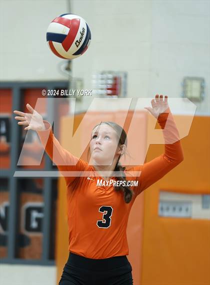 Thumbnail 1 in Grand Saline vs Alba-Golden photogallery.