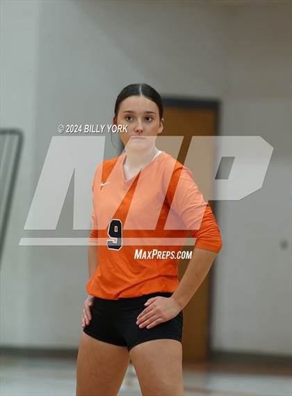 Thumbnail 1 in Grand Saline vs Alba-Golden photogallery.