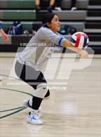 Photo from the gallery "Wheatland @ Twelve Bridges"
