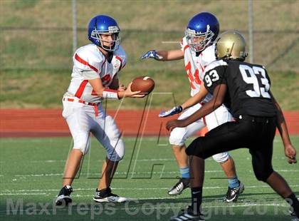 Thumbnail 2 in Fossil Ridge Black @ Grapevine White photogallery.