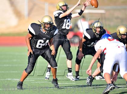 Thumbnail 1 in Fossil Ridge Black @ Grapevine White photogallery.