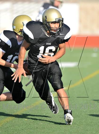 Thumbnail 3 in Fossil Ridge Black @ Grapevine White photogallery.