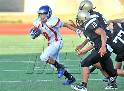 Thumbnail 2 in Fossil Ridge Black @ Grapevine White photogallery.