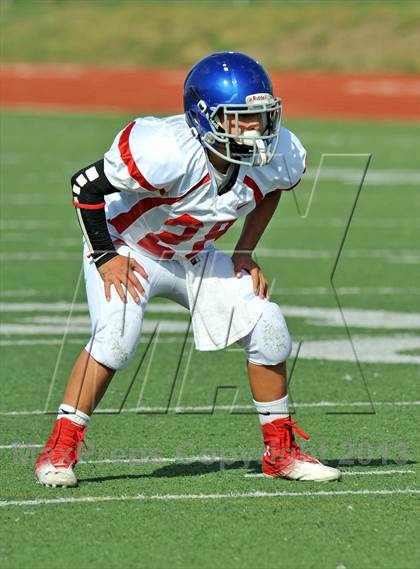 Thumbnail 2 in Fossil Ridge Black @ Grapevine White photogallery.