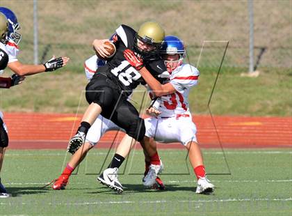 Thumbnail 1 in Fossil Ridge Black @ Grapevine White photogallery.
