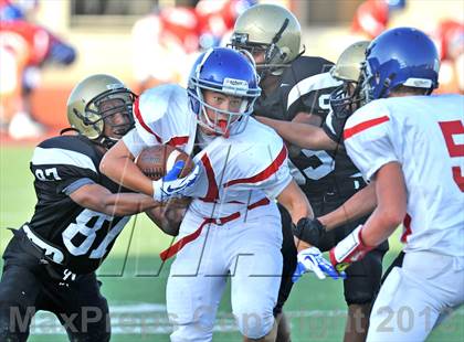 Thumbnail 2 in Fossil Ridge Black @ Grapevine White photogallery.