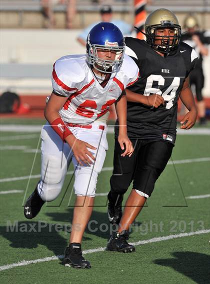Thumbnail 2 in Fossil Ridge Black @ Grapevine White photogallery.