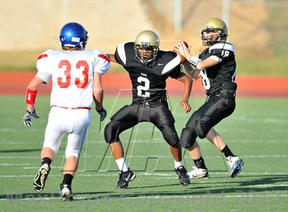 Thumbnail 2 in Fossil Ridge Black @ Grapevine White photogallery.
