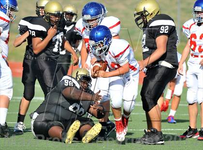 Thumbnail 2 in Fossil Ridge Black @ Grapevine White photogallery.