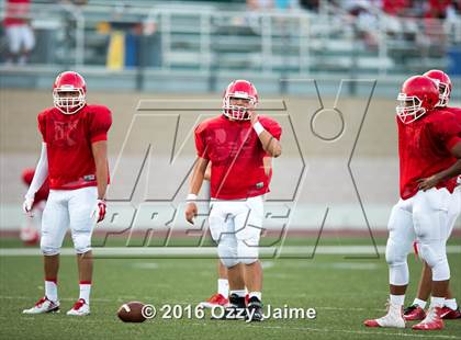 Thumbnail 2 in Taft [William H.] vs  Roosevelt [Theodore] (Scrimmage) photogallery.