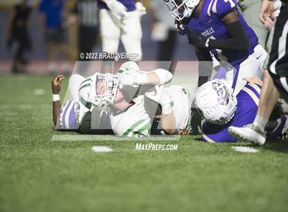 Thumbnail 3 in Newman @ Hahnville photogallery.