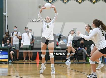 Thumbnail 1 in Out-of-Door Academy @ Shorecrest Prep photogallery.
