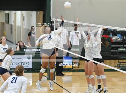Thumbnail 3 in Out-of-Door Academy @ Shorecrest Prep photogallery.