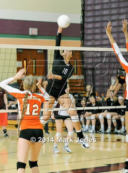 Thumbnail 1 in Corona del Sol @ Hamilton photogallery.