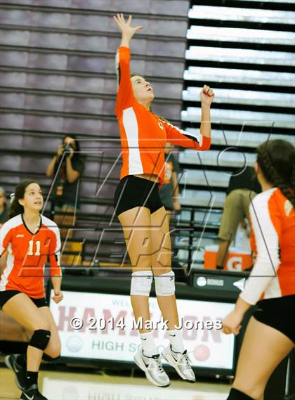 Thumbnail 3 in Corona del Sol @ Hamilton photogallery.