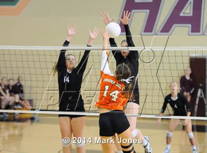Thumbnail 1 in Corona del Sol @ Hamilton photogallery.