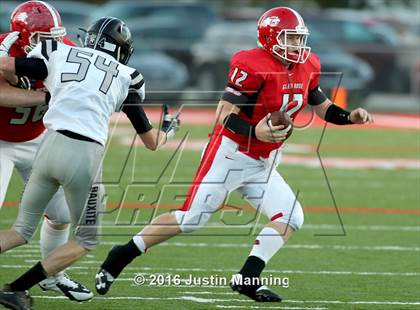 Thumbnail 1 in Bauxite @ Glen Rose photogallery.