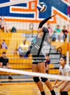 Photo from the gallery "Sheldon @ Cosumnes Oaks"