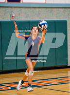 Photo from the gallery "Sheldon @ Cosumnes Oaks"