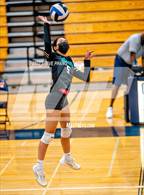 Photo from the gallery "Sheldon @ Cosumnes Oaks"