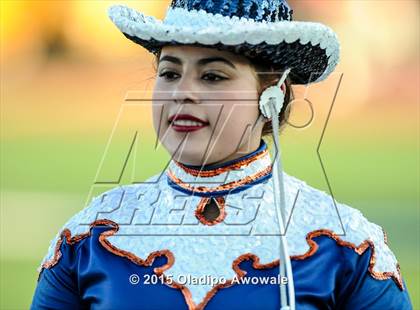 Thumbnail 1 in Lee @ Sachse photogallery.