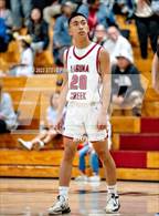 Photo from the gallery "Bear Creek @ Laguna Creek"