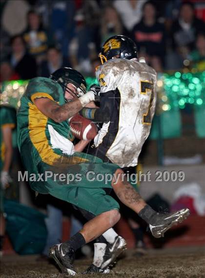 Thumbnail 3 in Enterprise @ Paradise (CIF NS D1 Final) photogallery.