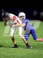 Photo from the gallery "Clear Lake @ Lower Lake"