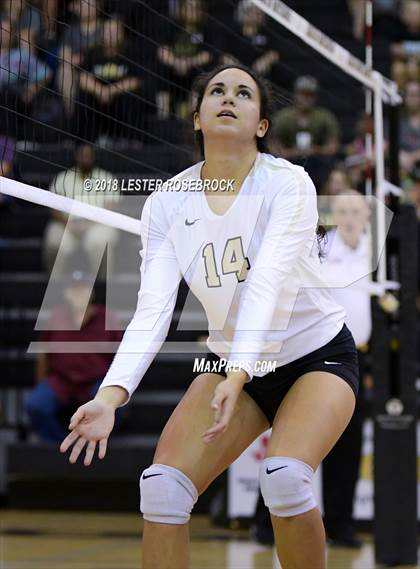 Thumbnail 3 in Tivy @ Seguin photogallery.