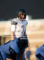 Photo from the gallery "Pahrump Valley @ Western"