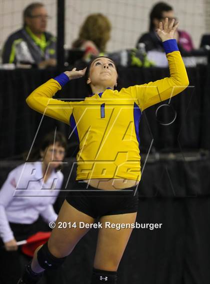 Thumbnail 1 in Weldon Valley vs Kit Carson (CHSAA 1A Playoff) photogallery.
