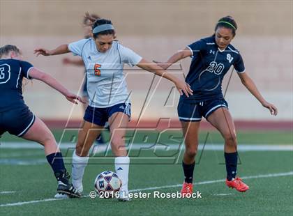 Thumbnail 3 in Smithson Valley @ Brandeis photogallery.