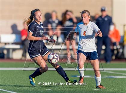 Thumbnail 3 in Smithson Valley @ Brandeis photogallery.