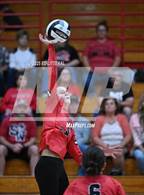 Photo from the gallery "Valley @ South Webster"