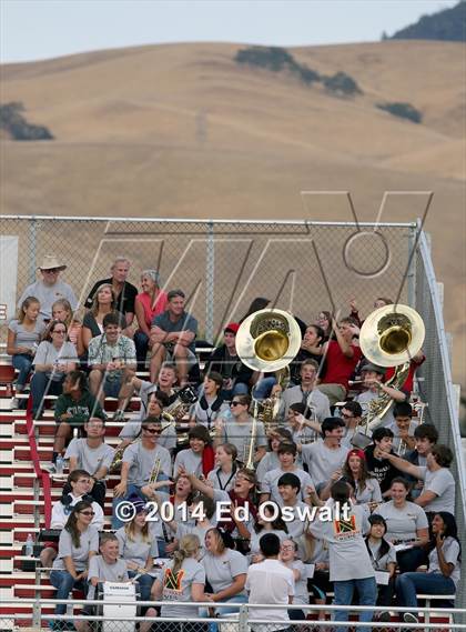 Thumbnail 2 in Hayward @ Northgate photogallery.