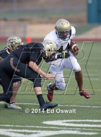 Thumbnail 3 in Hayward @ Northgate photogallery.