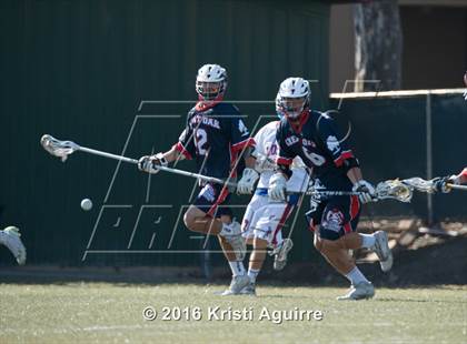 Thumbnail 1 in Great Oak @ Los Alamitos photogallery.